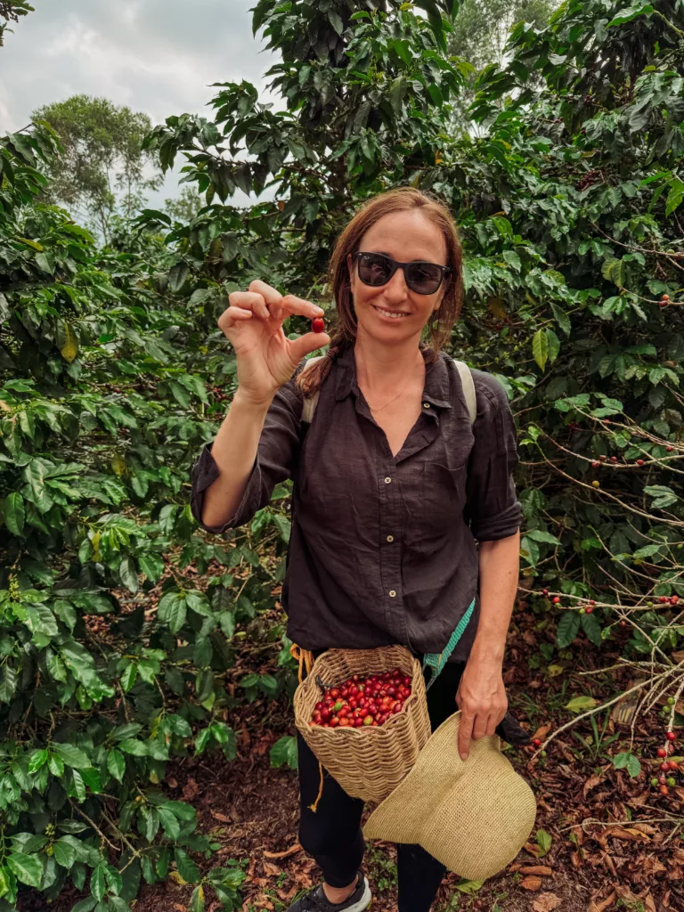 picking the best coffee beans in Colombia